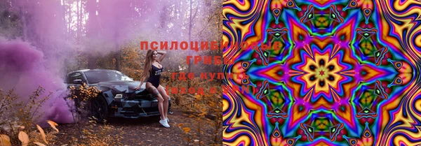 МДПВ Алзамай