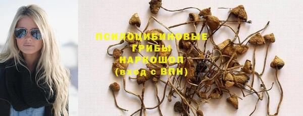 МДПВ Алзамай