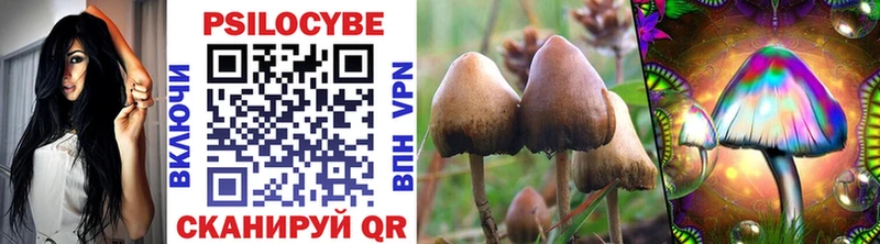 что такое наркотик Суровикино площадка клад Галлюциногенные грибы Psilocybe